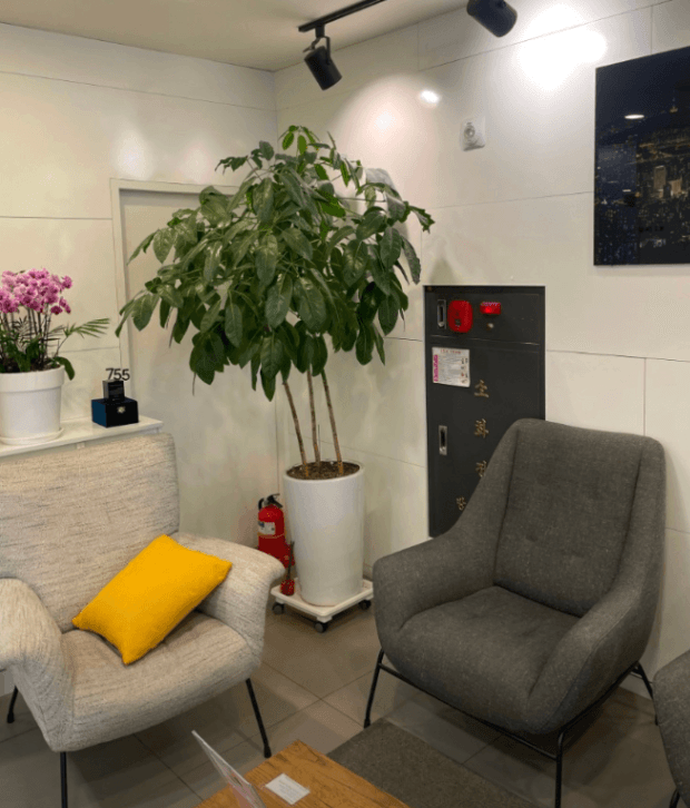Clean Tattoo clinic clinic