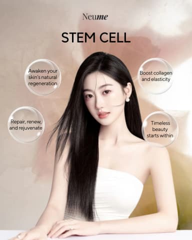 Stem Cell
