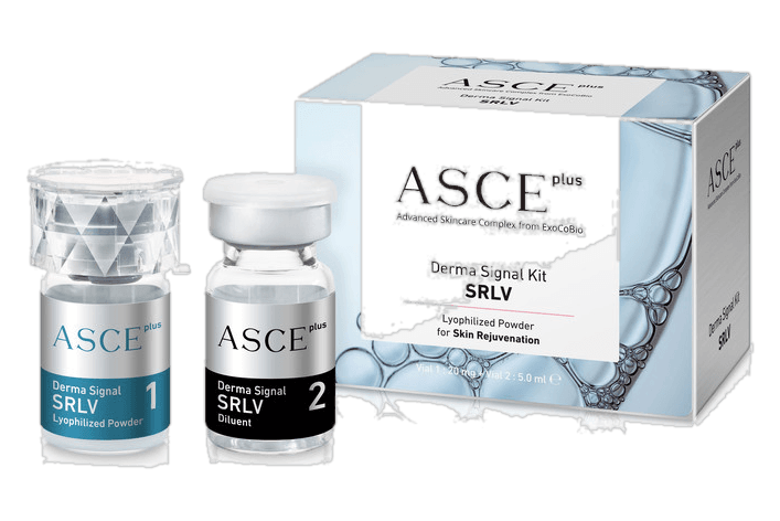 外泌体（ASCE+）